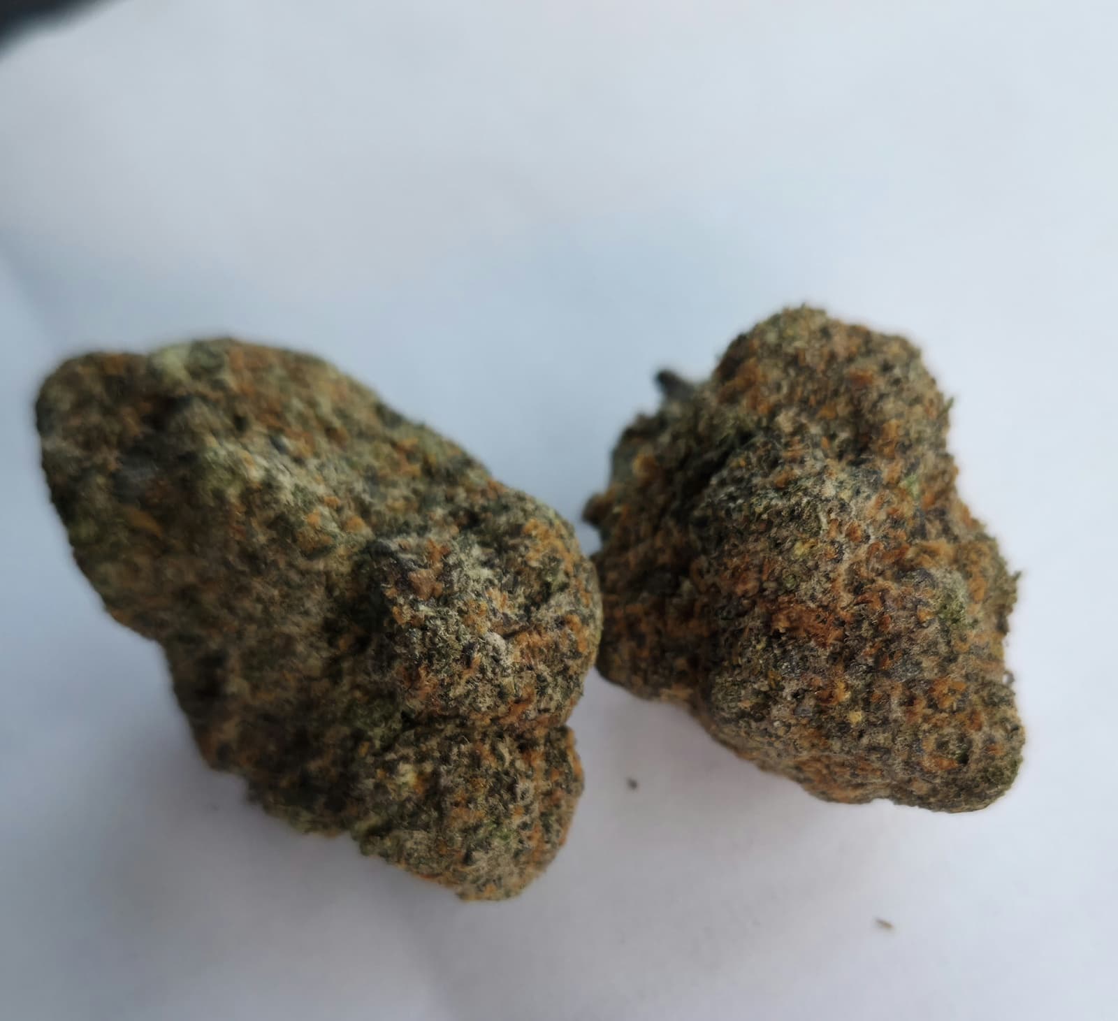 Fort lauderdale weed delivery for Medical and Recreational Users