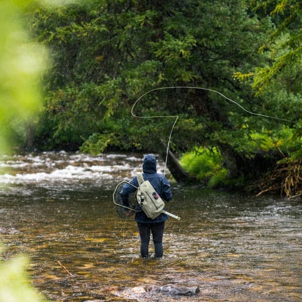 Best Fly Fishing Rods for Small Streams and Tight Spaces